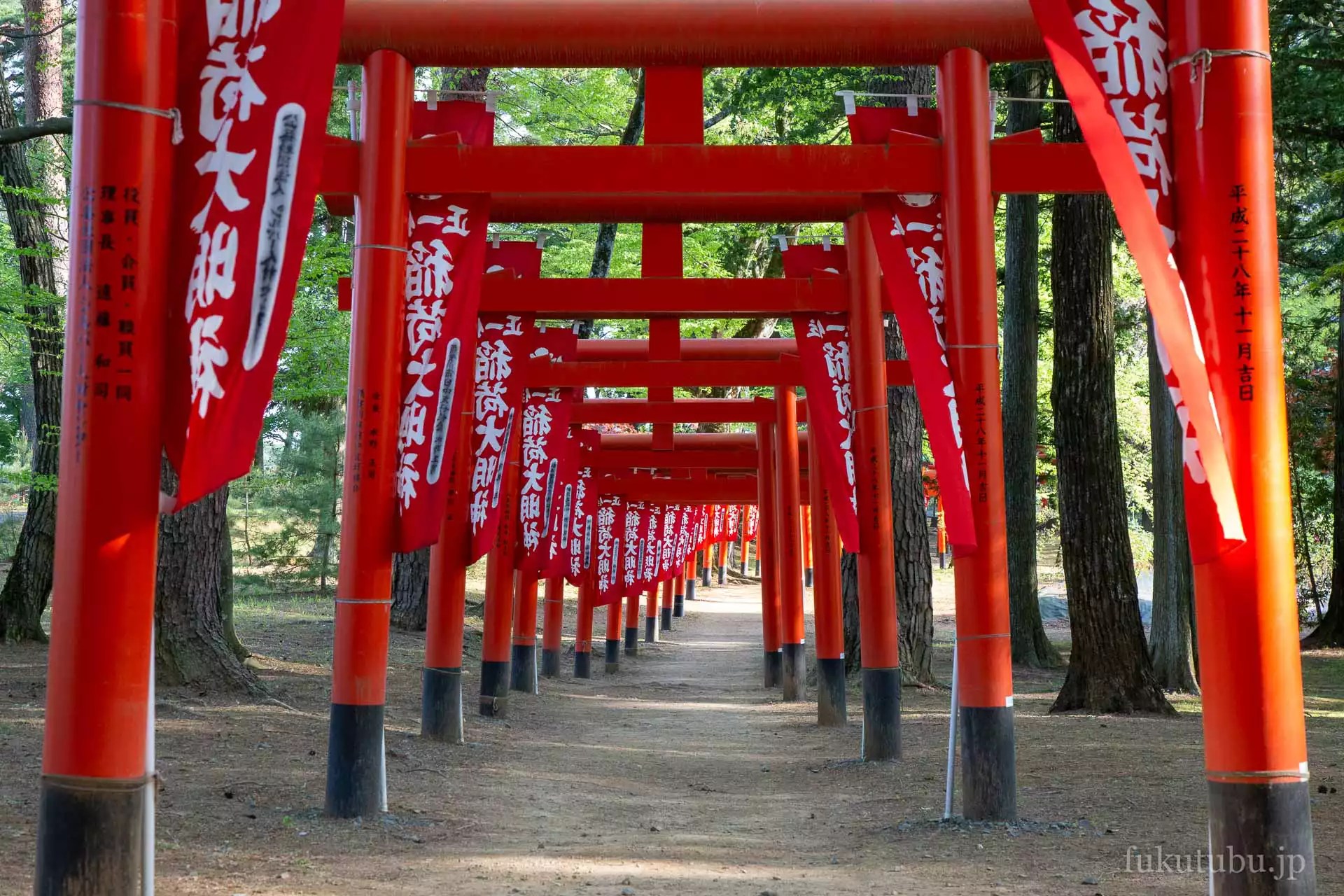 国指定名勝 須賀川牡丹園