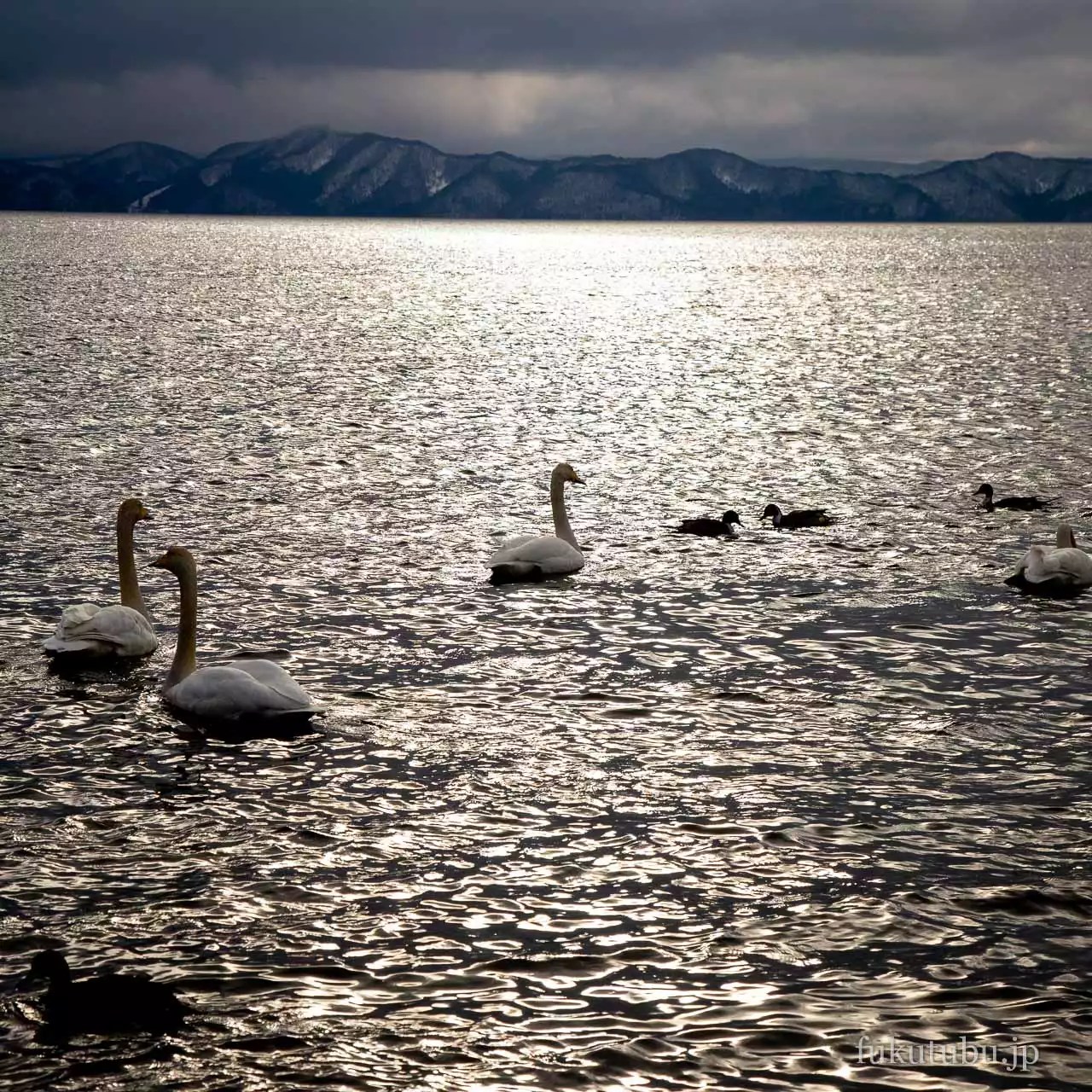 猪苗代湖 志田浜