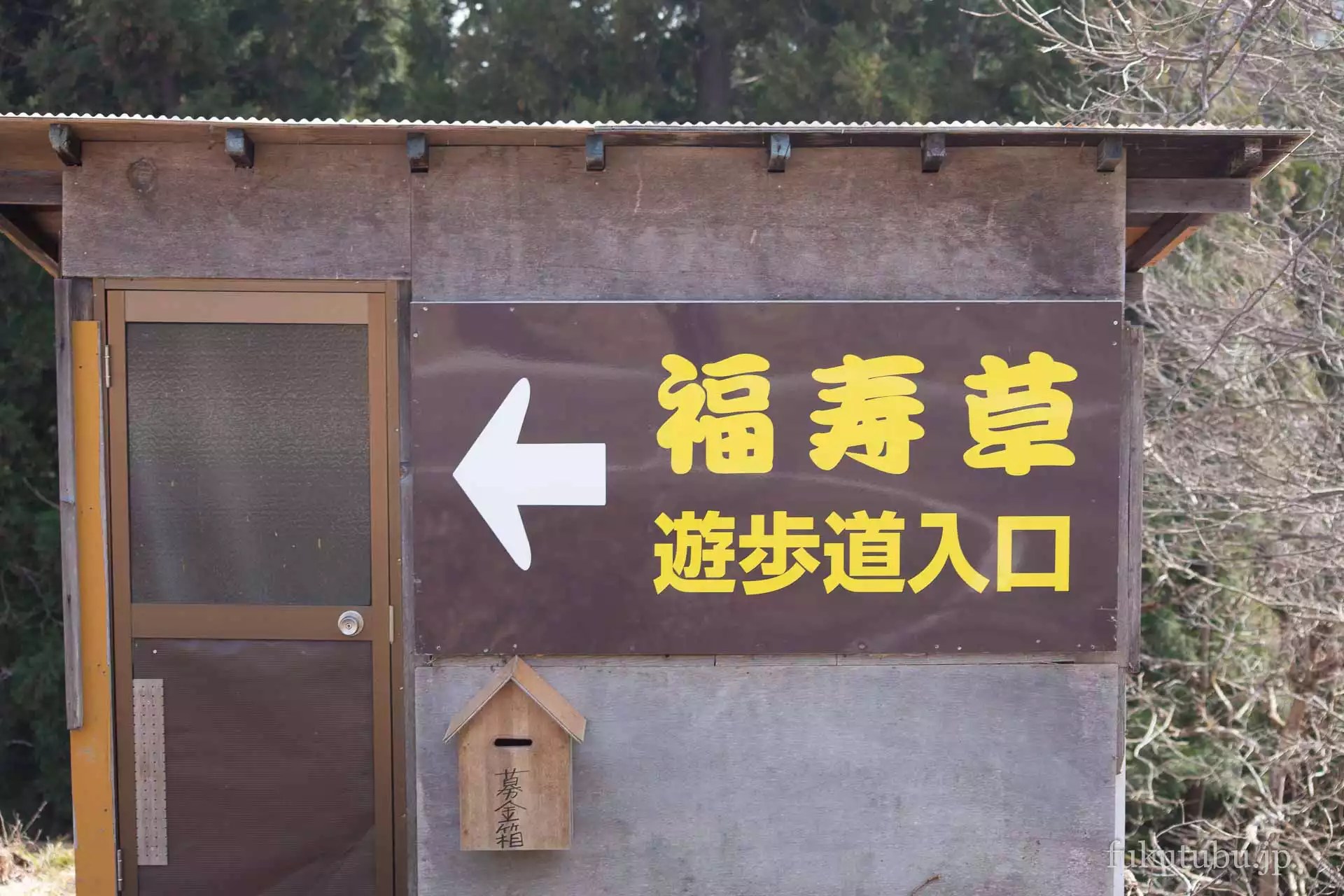 喜多方市沼ノ平 福寿草まつり