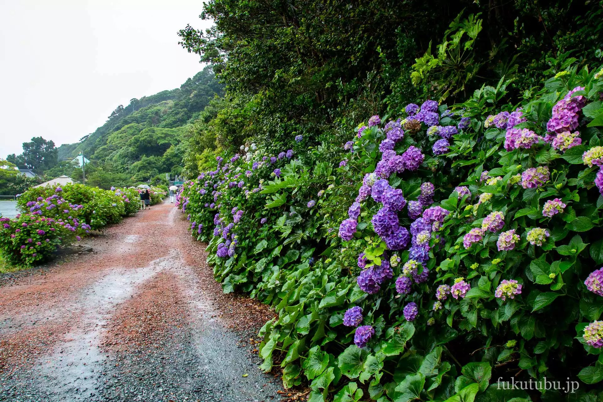 いわき市 波立寺