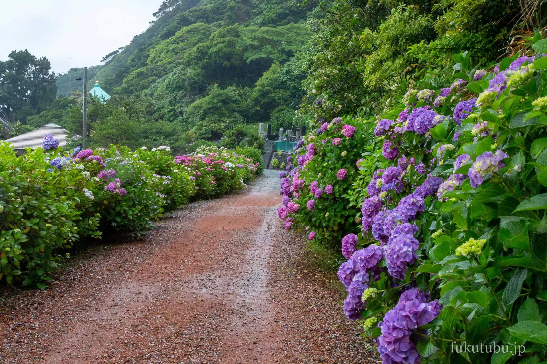 いわき市 波立寺