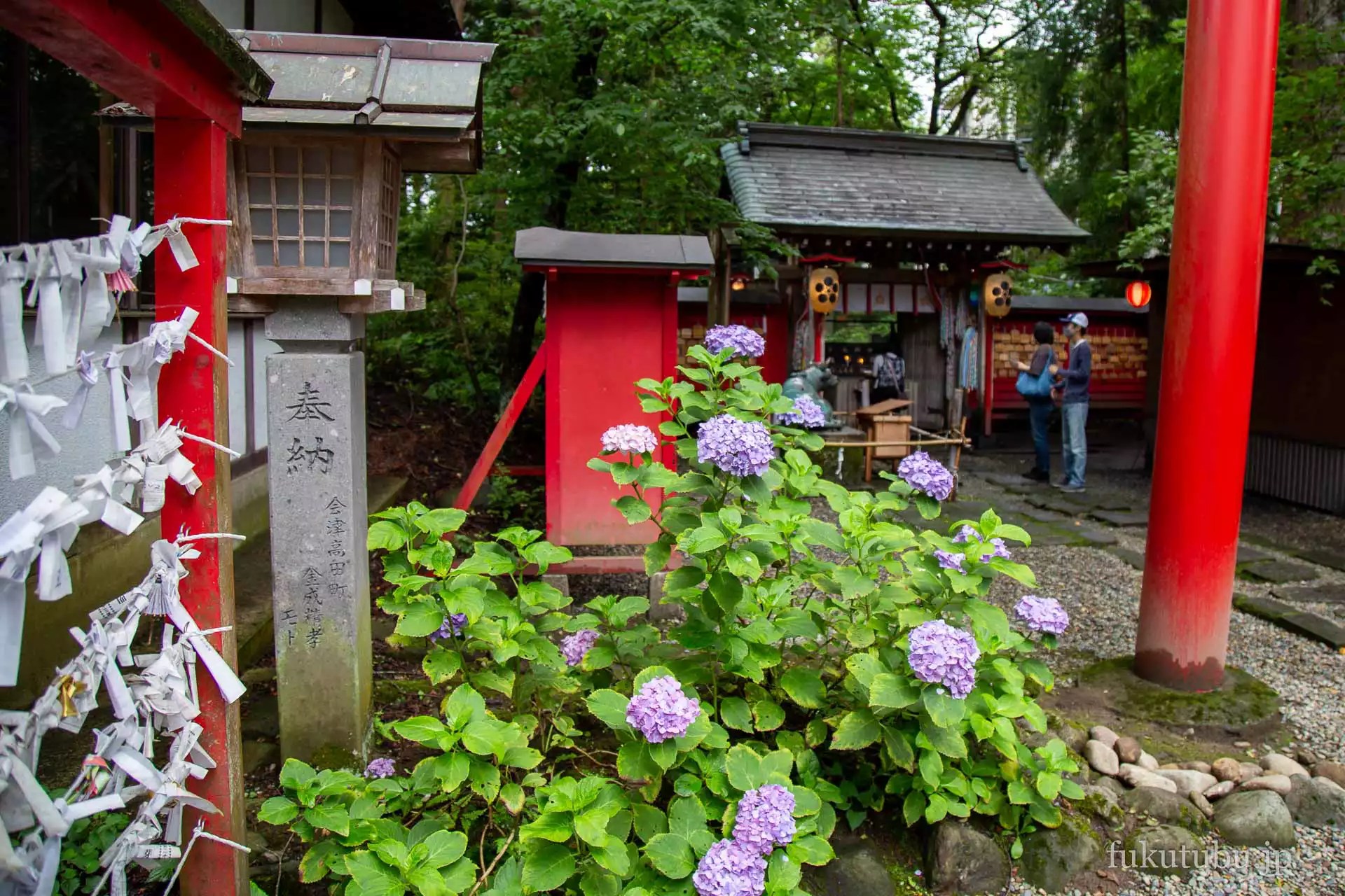 会津美里町 伊佐須美神社 あじさいと七夕飾り
