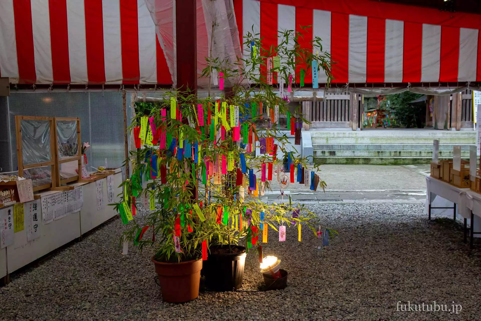 会津美里町 伊佐須美神社 あじさいと七夕飾り