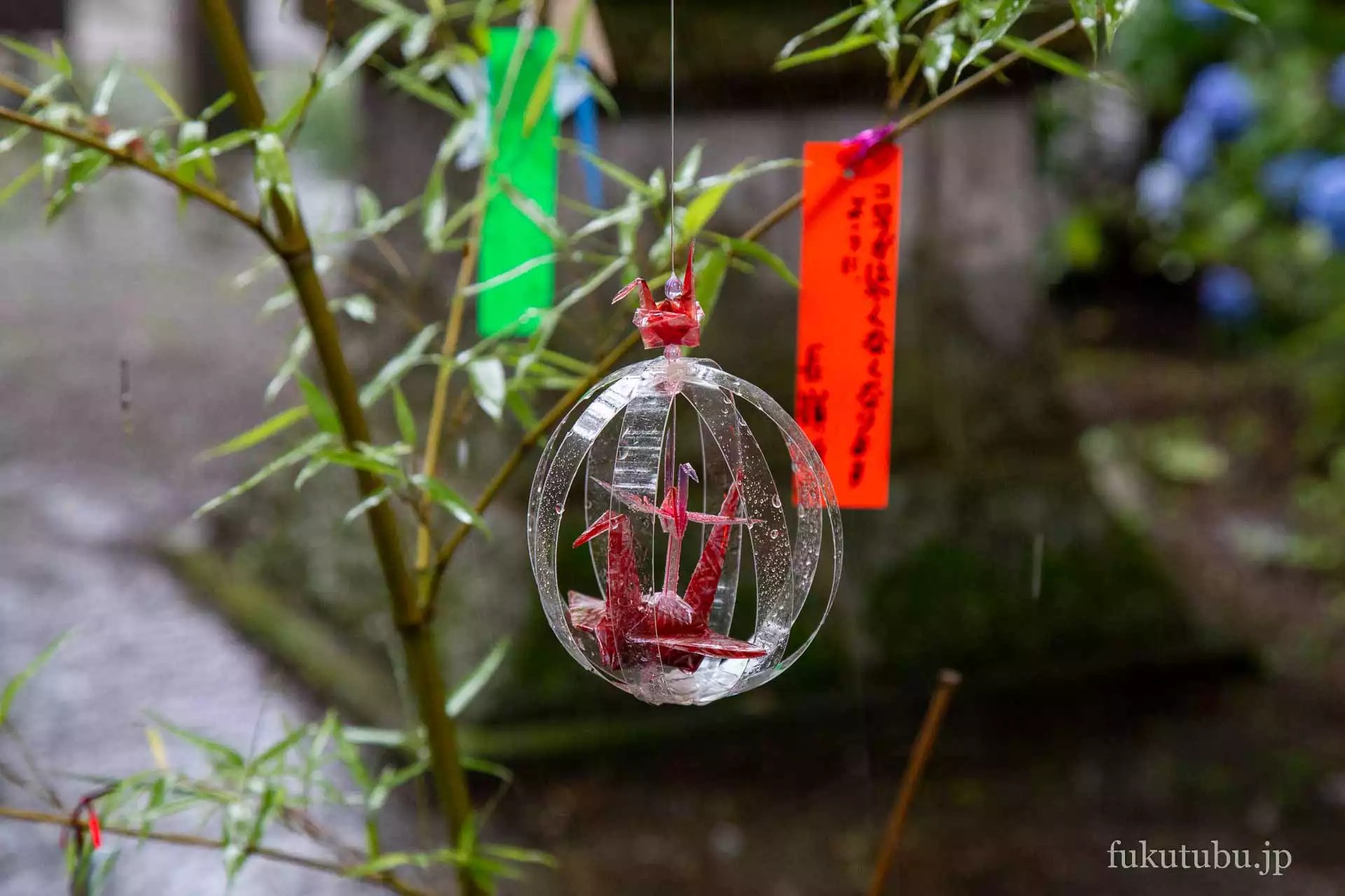 会津美里町 伊佐須美神社 あじさいと七夕飾り