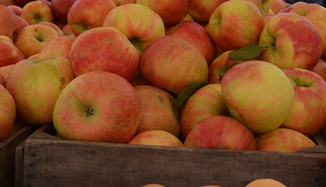 Union Square Greenmarket Fall Apples