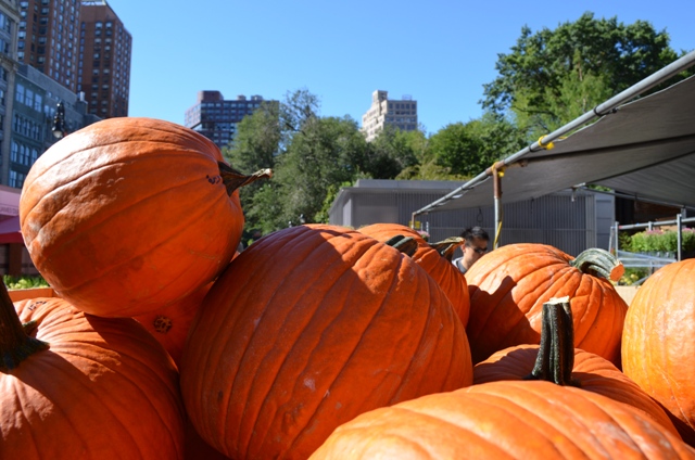 Union Square Greenmarket Pumpkins