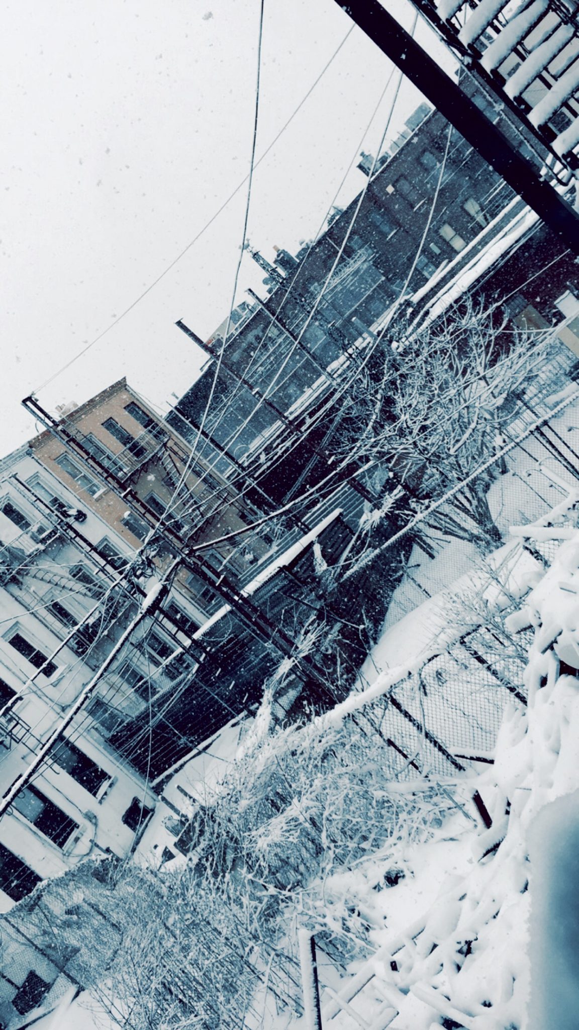 Snow Covered Brooklyn
