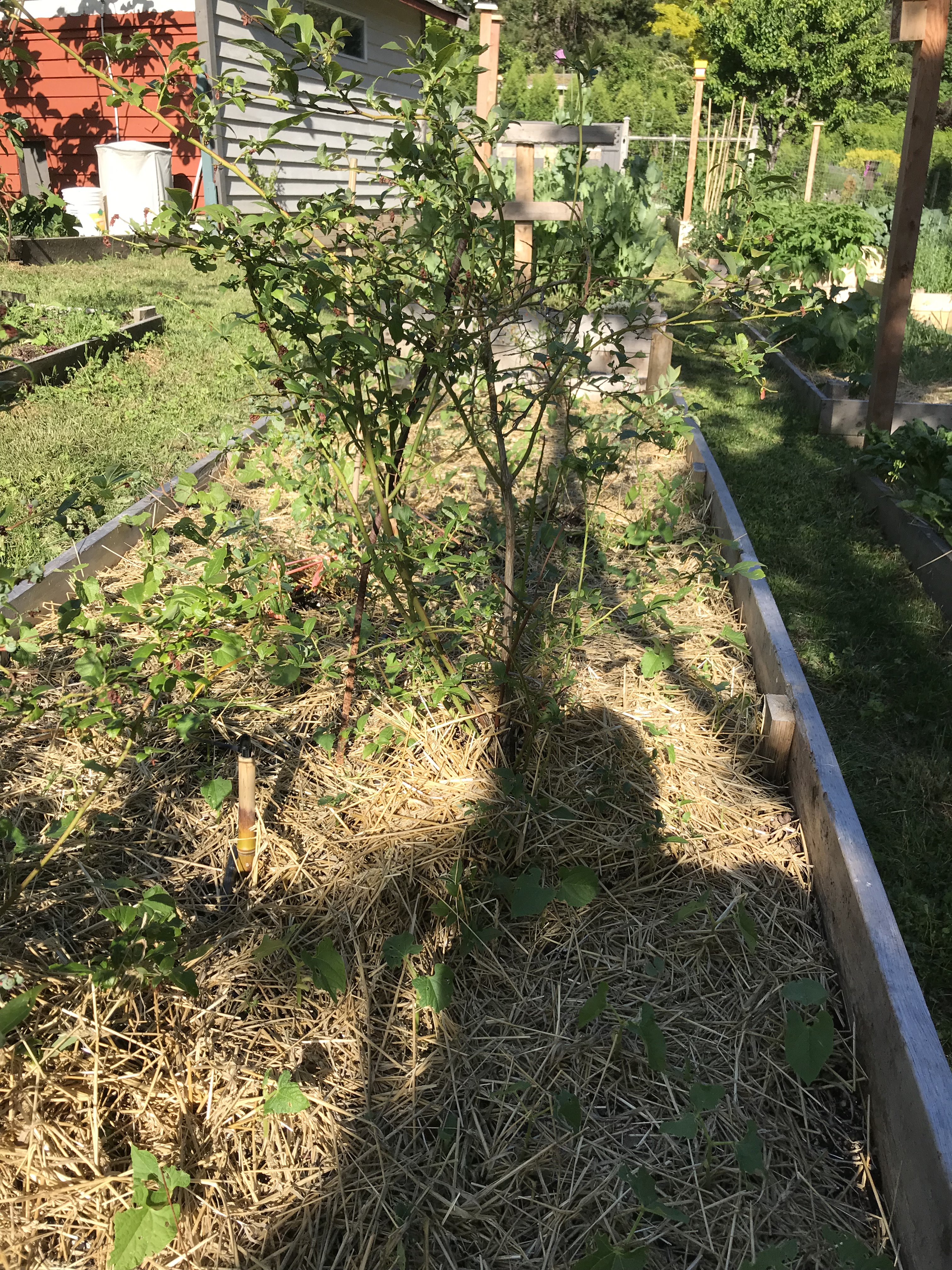 Photos – Year over Year
