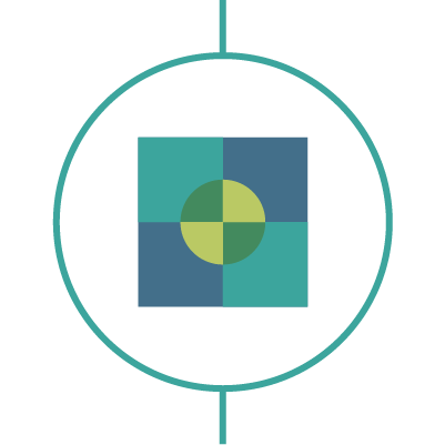 Color Vision