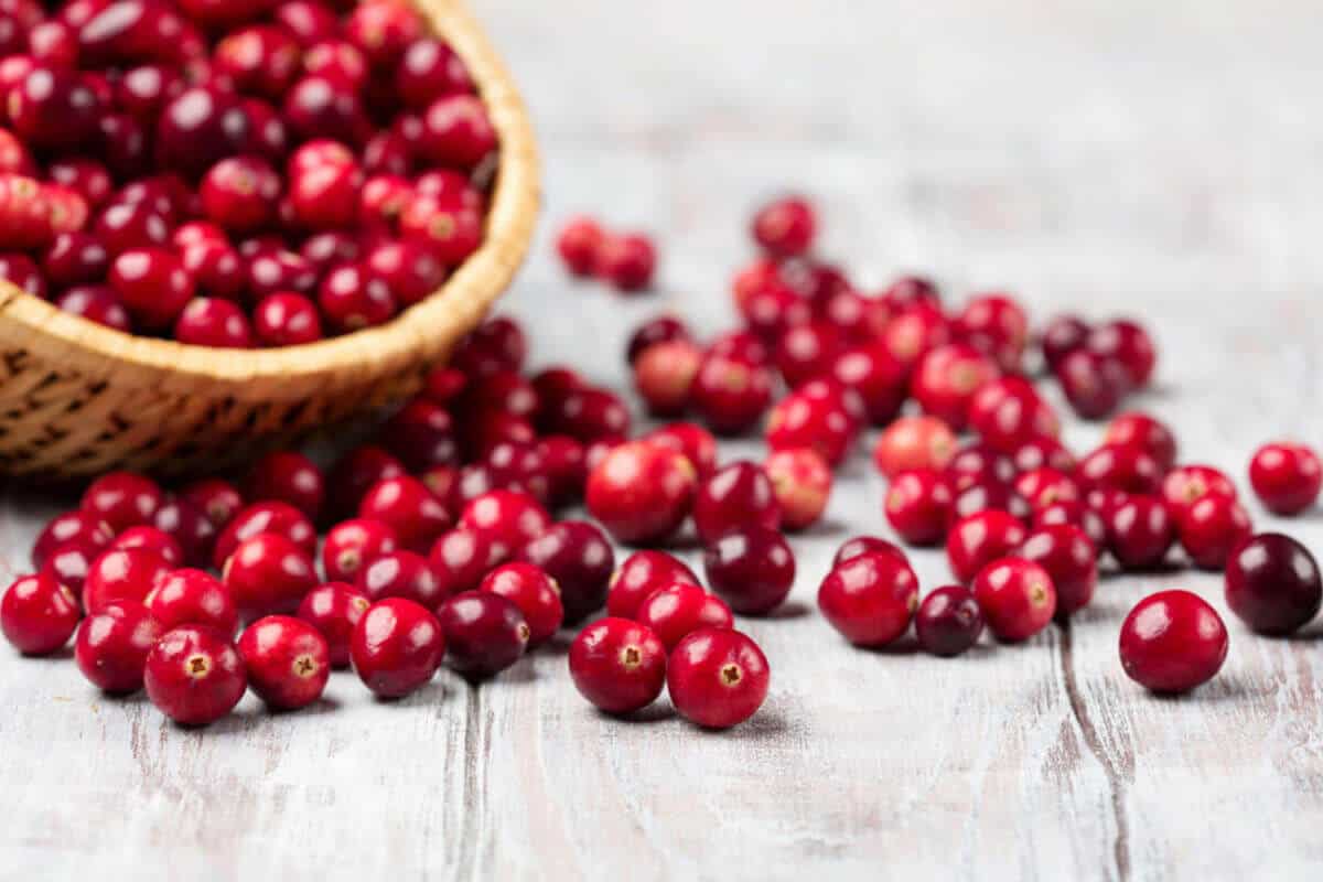 8 Natural Ways To Prevent A Kidney Infection Fullscript