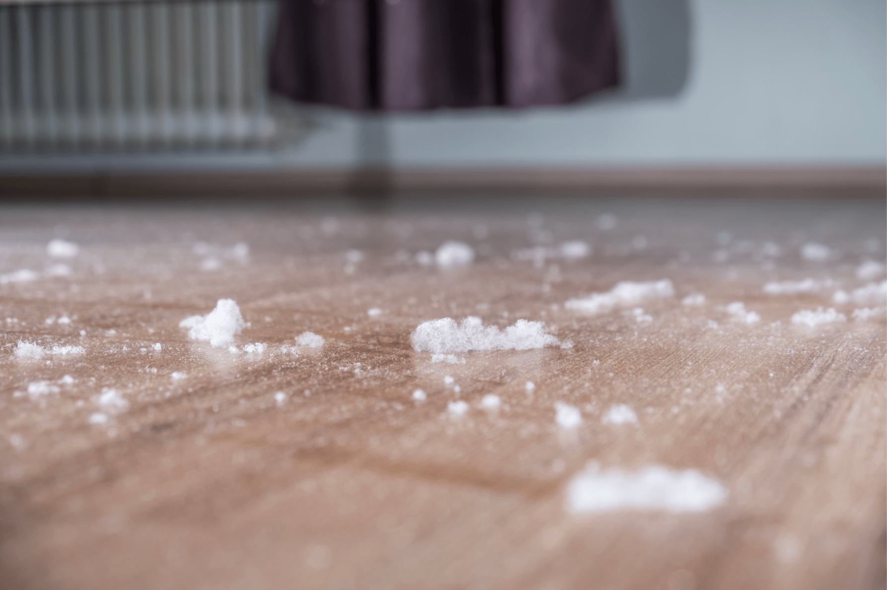 lead dust on wood floors