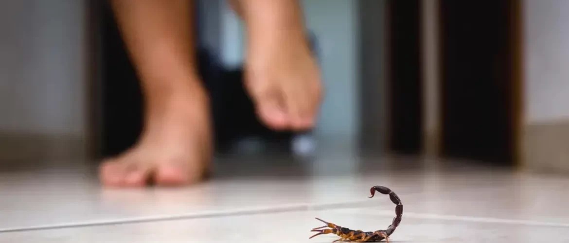 Alacranes