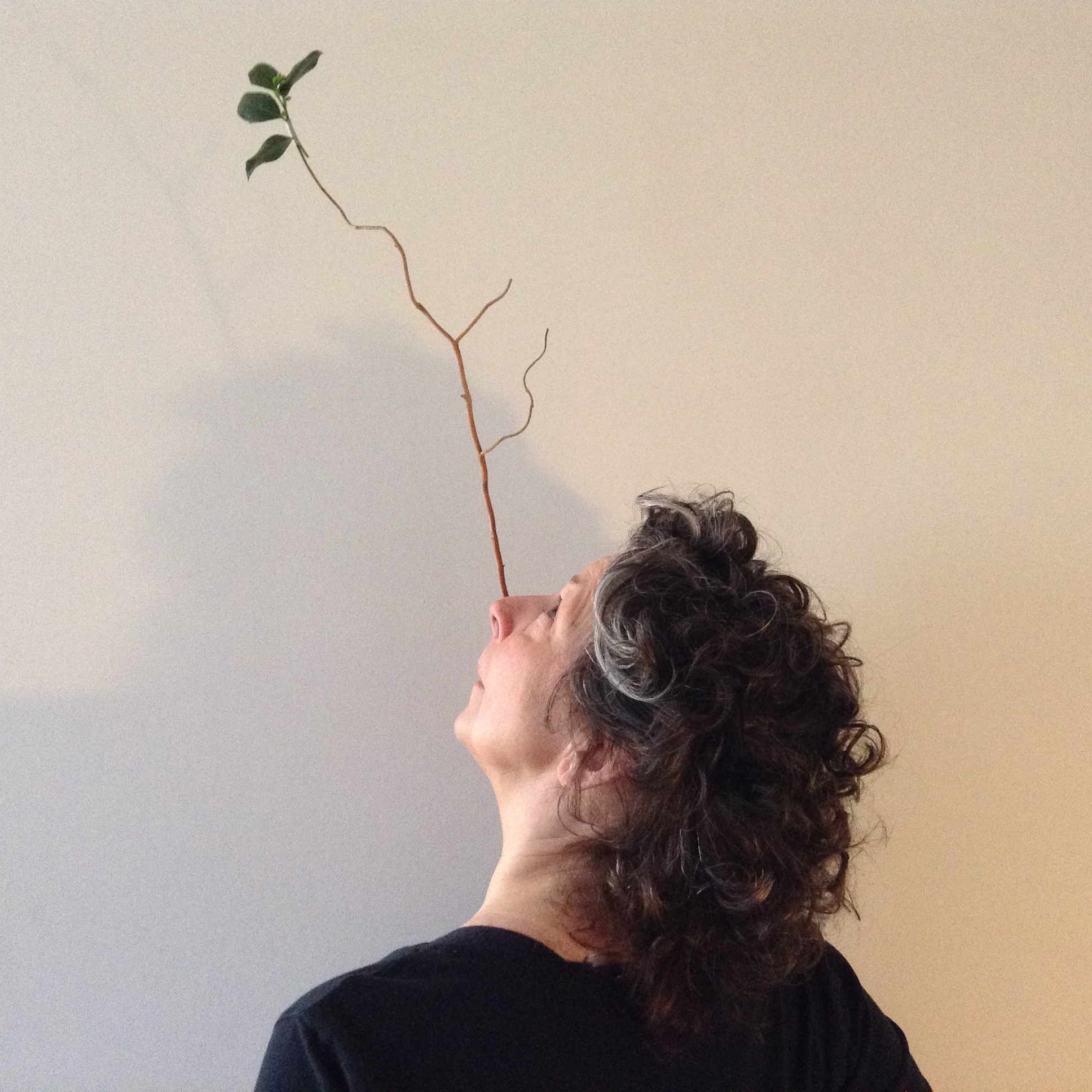 Sally Owen - TWIGGED