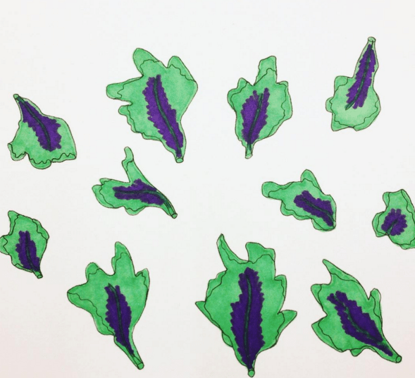 Rebecca / Woollyjones