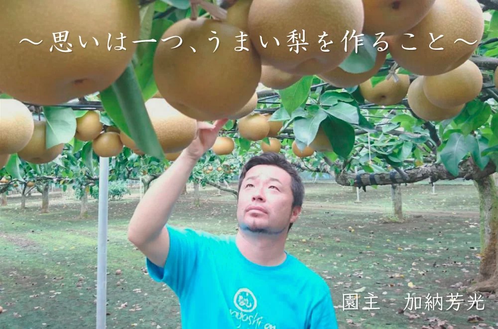 梨の船芳園 | 千葉県船橋市の果樹農園