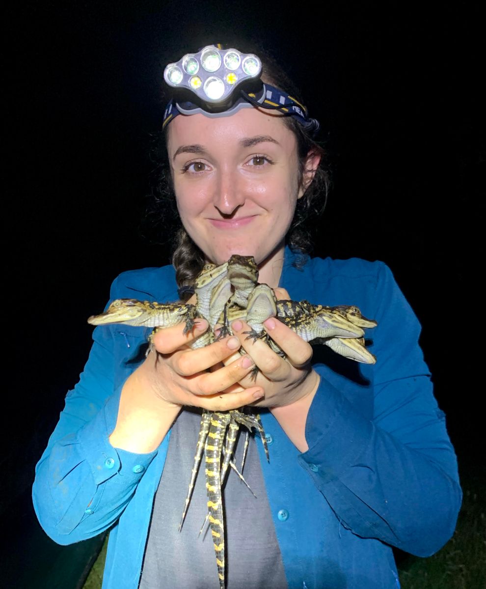 Samantha bock: a long-standing evolutionary mystery: why does