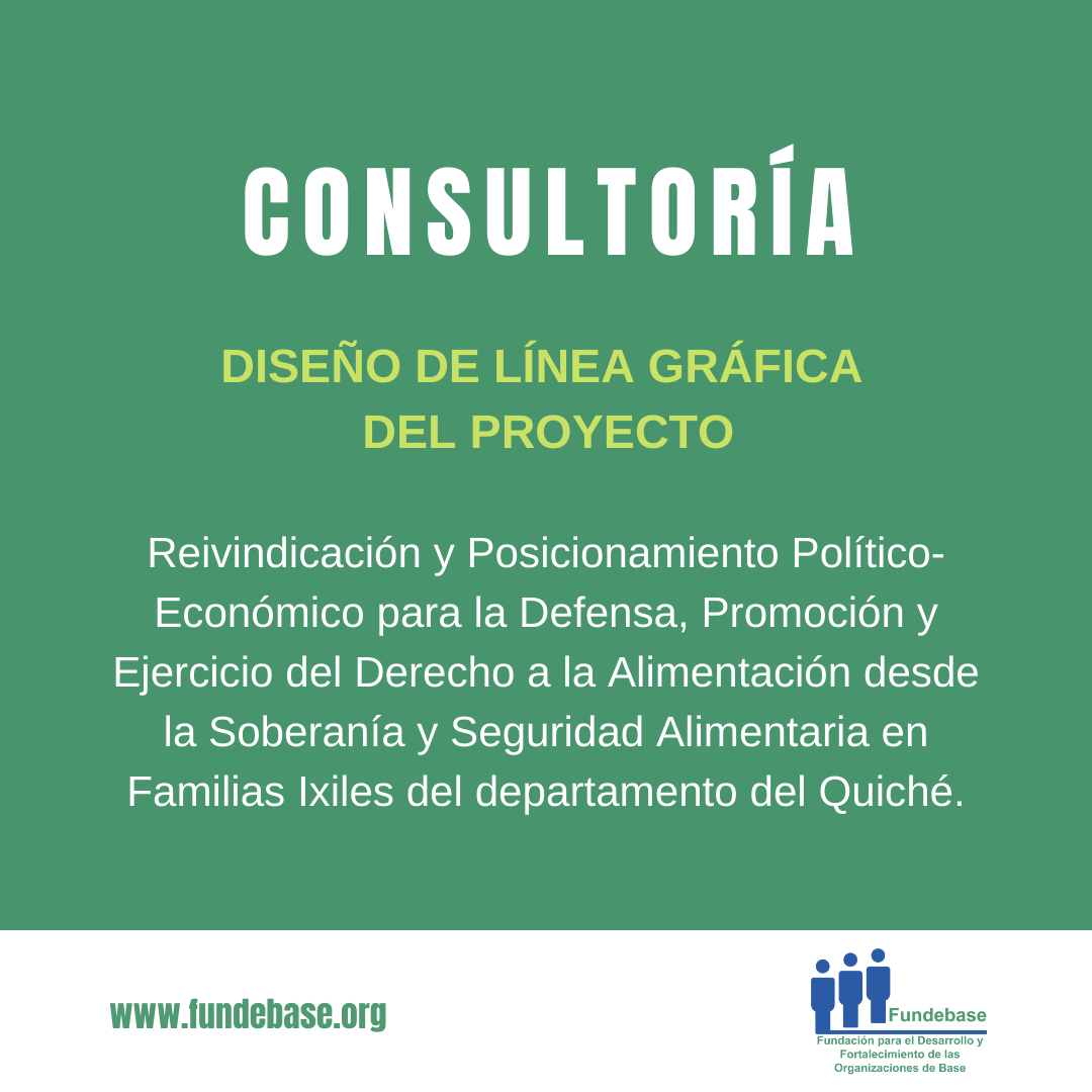 CONSULTORIA Línea Gráfica Proyecto IXILfinal