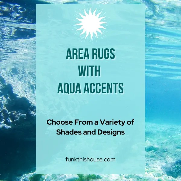 Various Shades of Area Rugs with Teal Accents