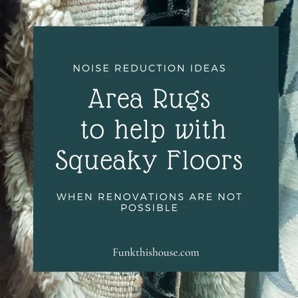 Area Rugs that help with Squeaky Floors - Noise Reduction Idea