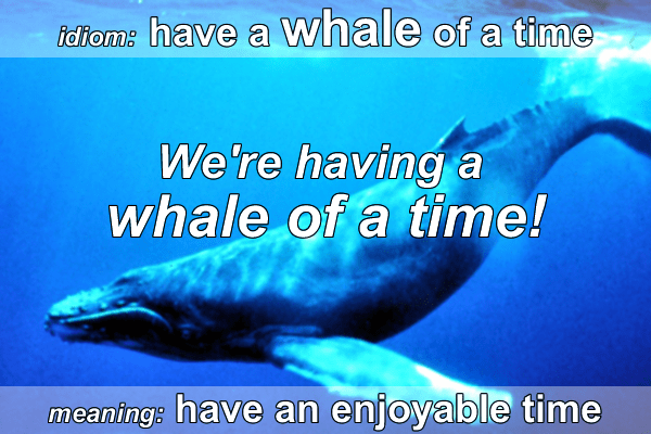 Idiom - Whale of a time