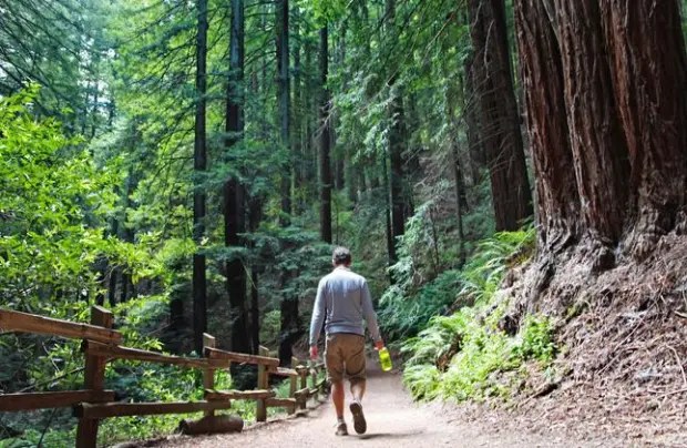 Choosing the Perfect Hiking Trail