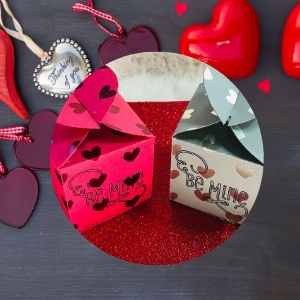 Valentines Day Treat Box