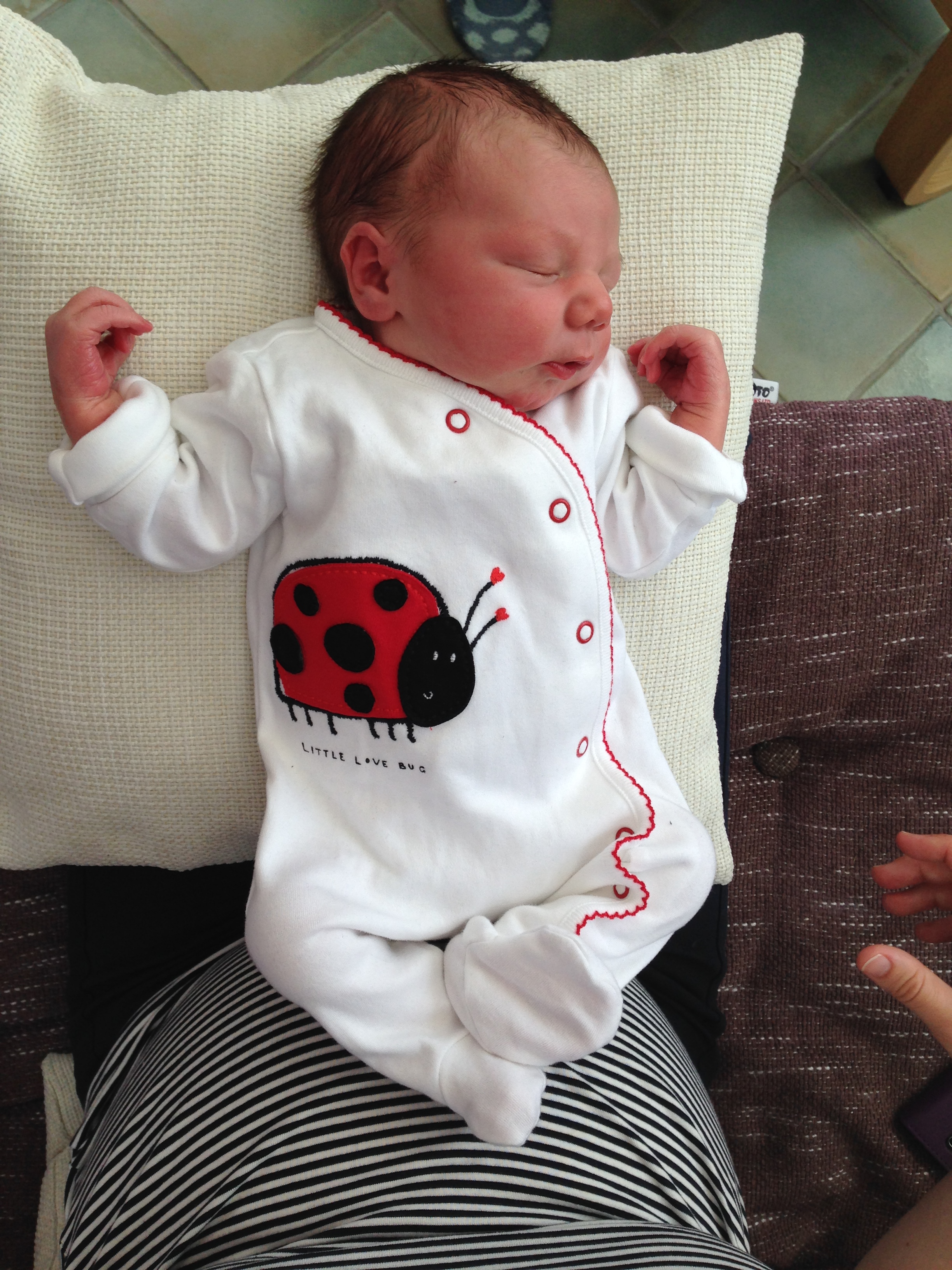 Kung Fu Baby