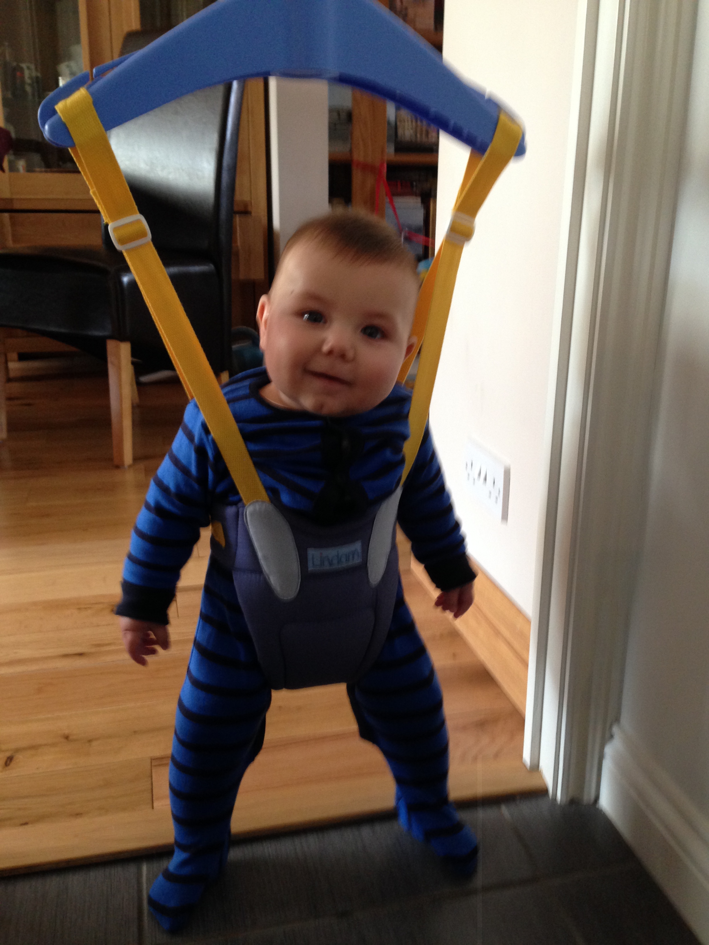 Bouncer