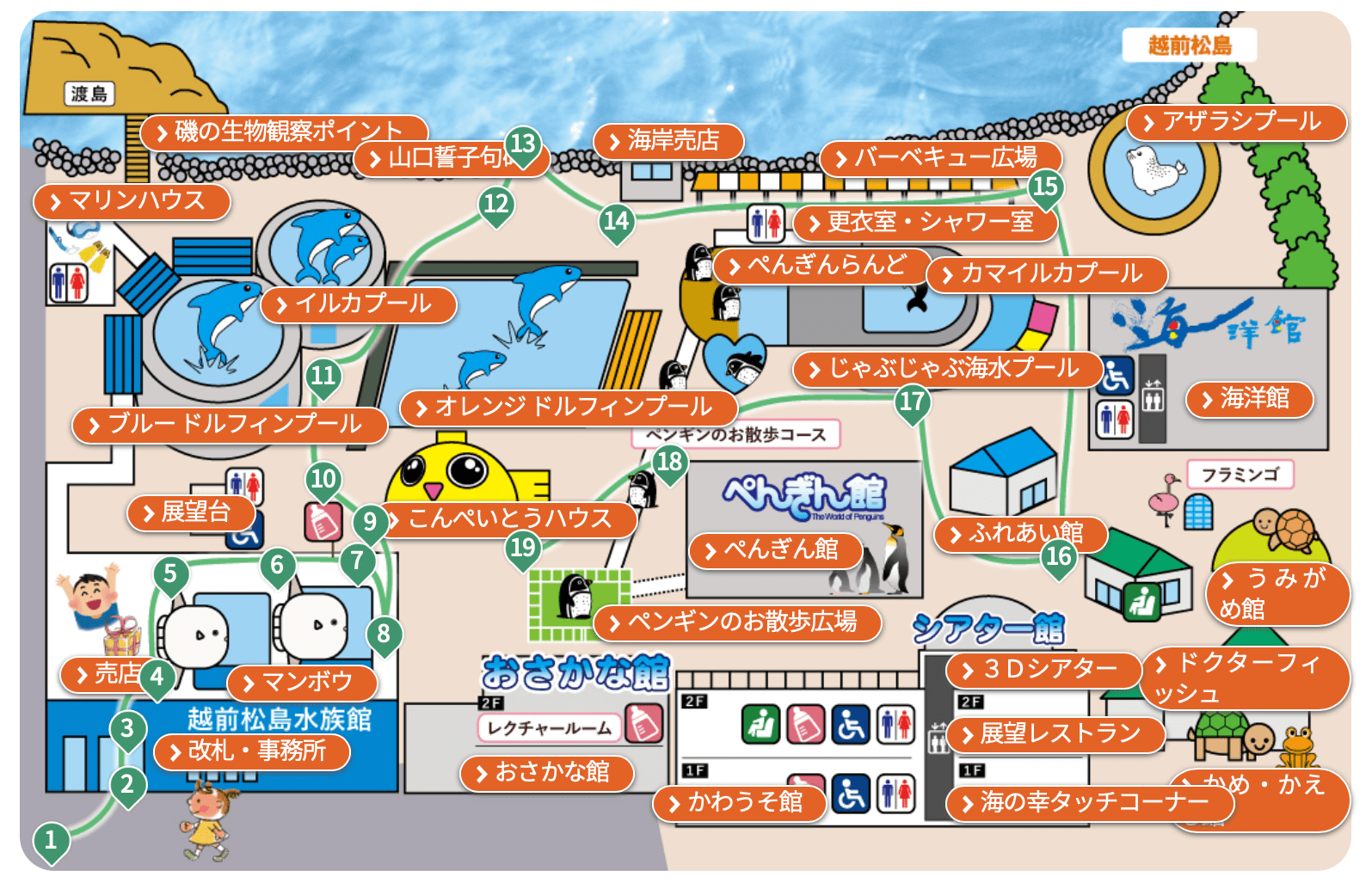 福井「越前松島水族館」の徹底ガイド♪ 迫力のイルカショー・サメのふれあい体験も｜福井の旬な街ネタ&情報ポータル 読みもの ふーぽ