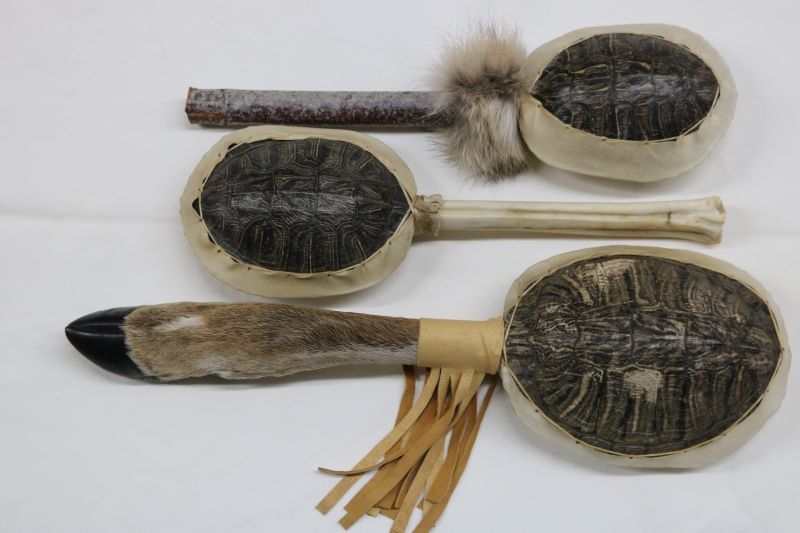 Map Turtle Shell Centralia Fur Hide - Space Illustrations - Perfect High Resolution Collection