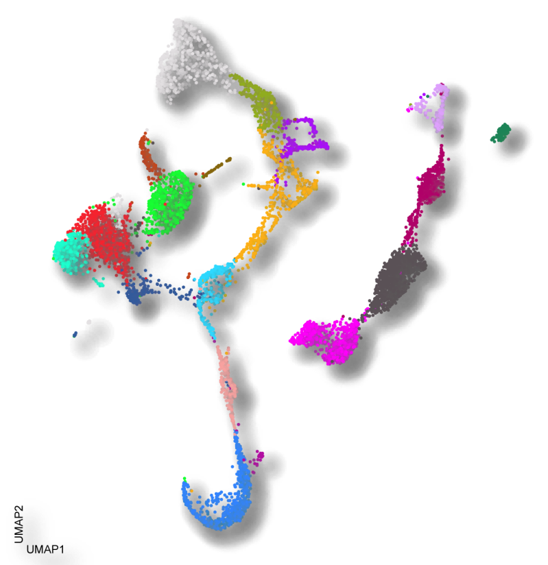 R Furlan Github - Geometric Photo Collection - 8K Quality