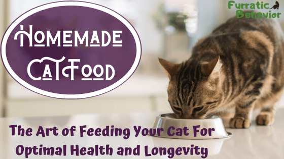 Brown tabby cat eating out of a stainless steel bowl. Purple and white text reads: "Homemade Cat Food. The Art of Feeding Your Cat for Optimal Health and Longevity"