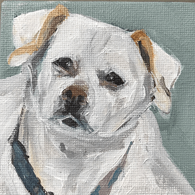 Baby is the twinkle in Sarge's eye