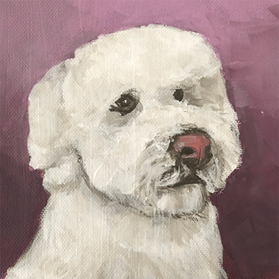 Maxx and his new 'do