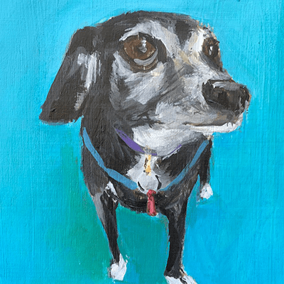 Davey enjoys the Sonoma life