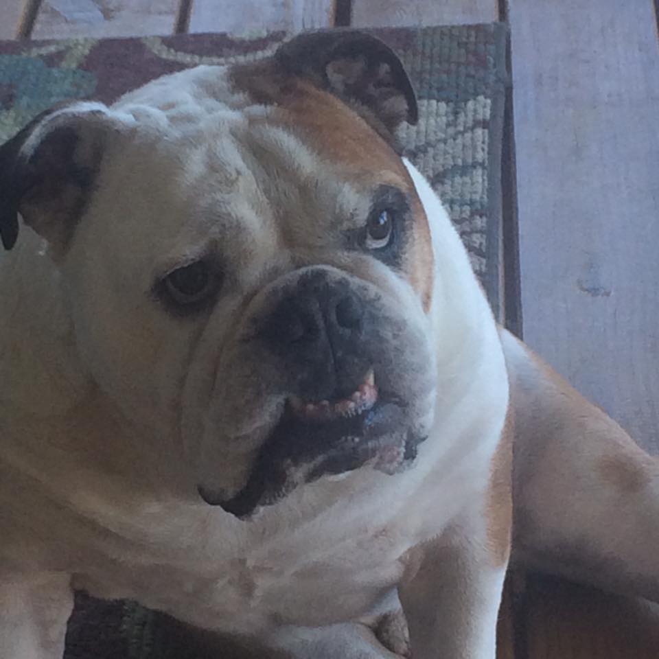 Beau