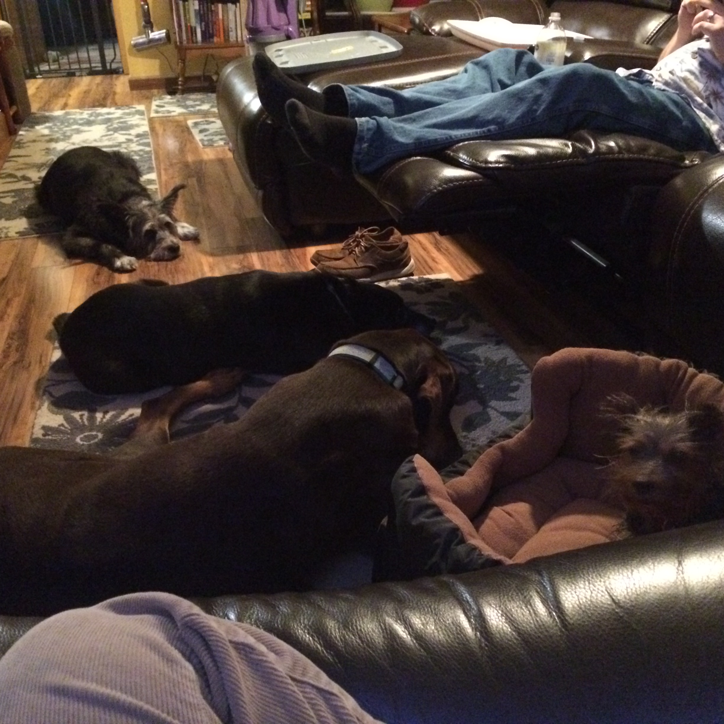 Friday night at our house!