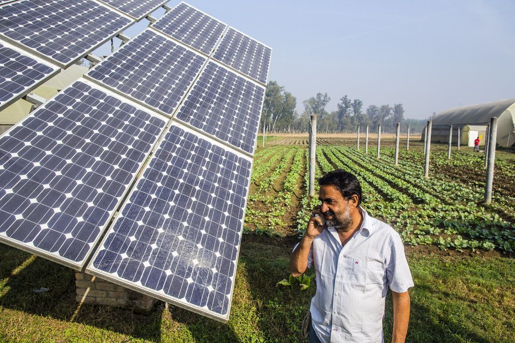 Agricultor Llamando Por Telefono En El Campo , Junto A Paneles Solares.