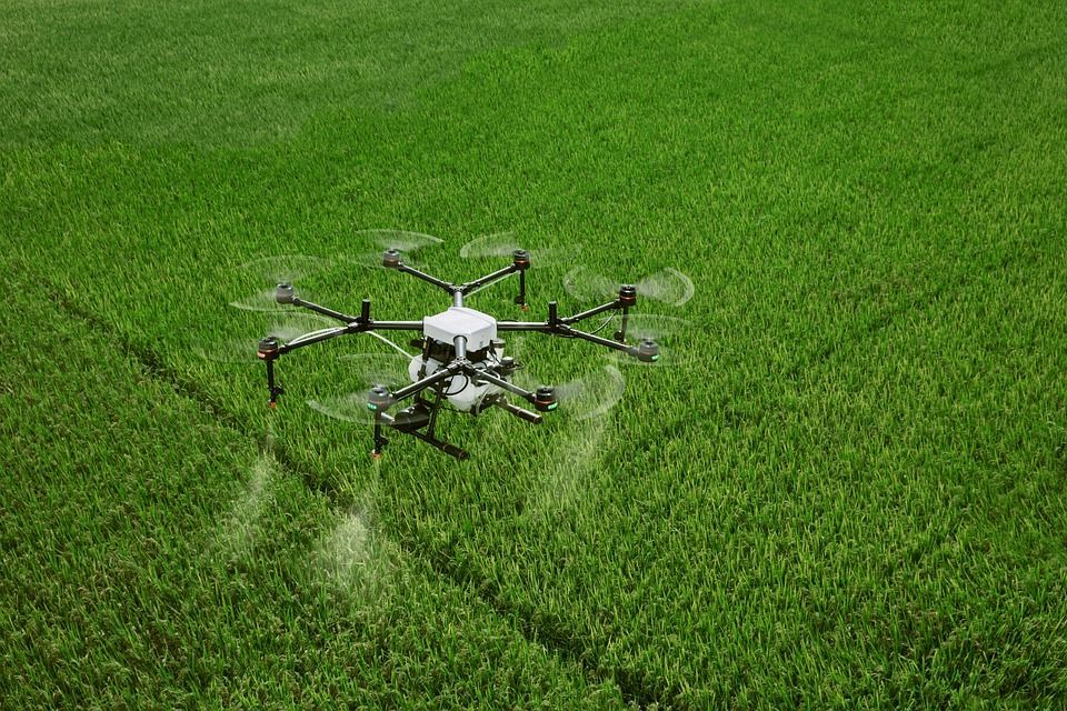 Drone Sobre Plantación Agrícola.