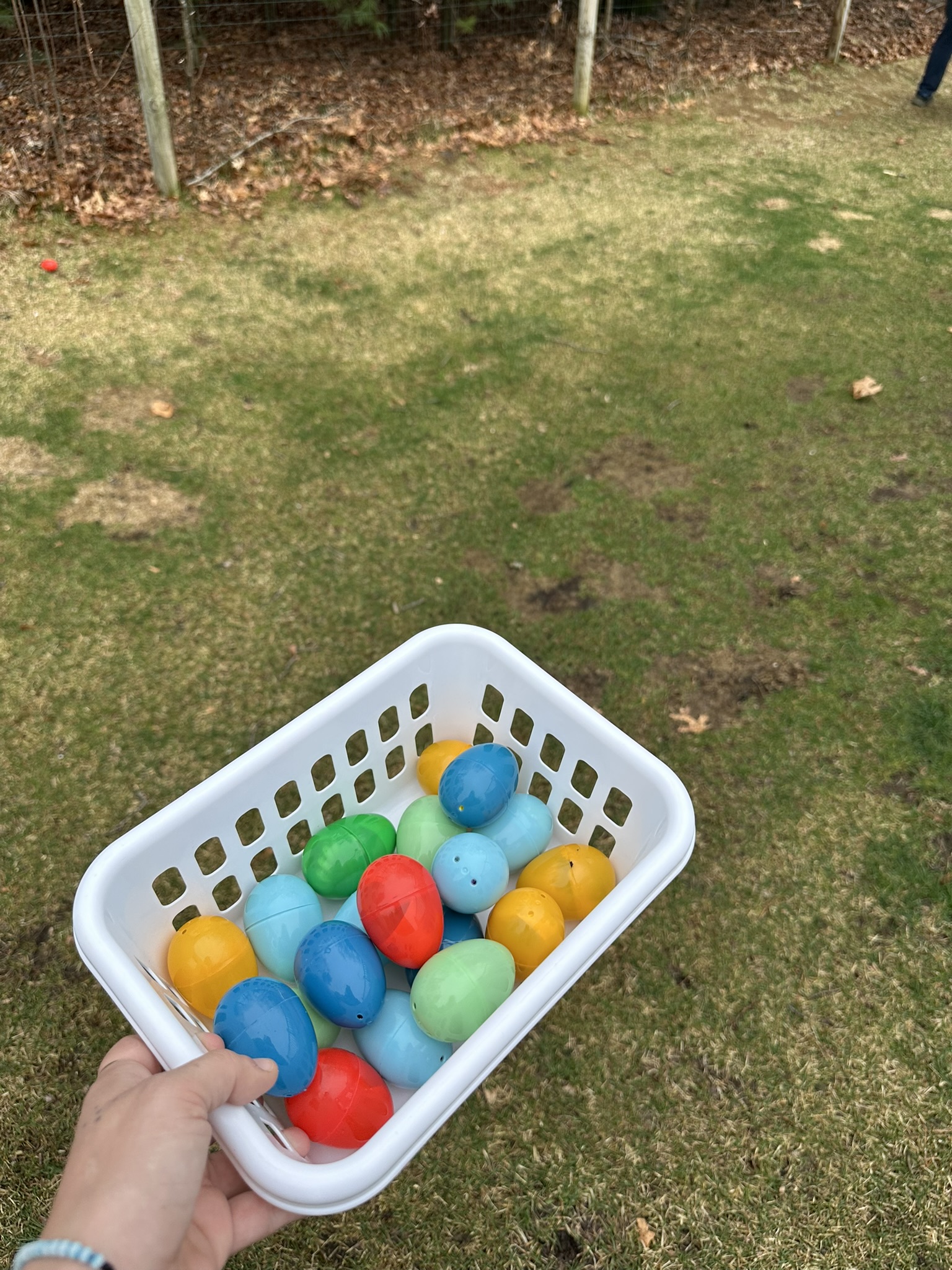 easter egg hunt