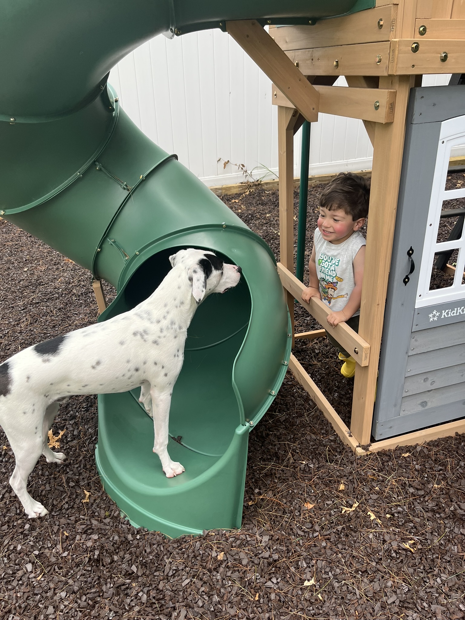 outdoor playtime