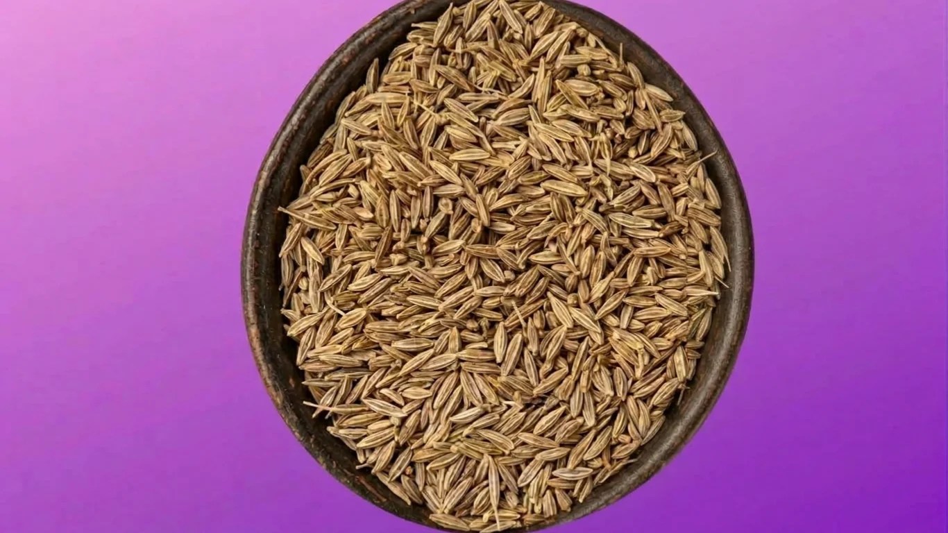 Whole cumin seeds and ground cumin in small bowls