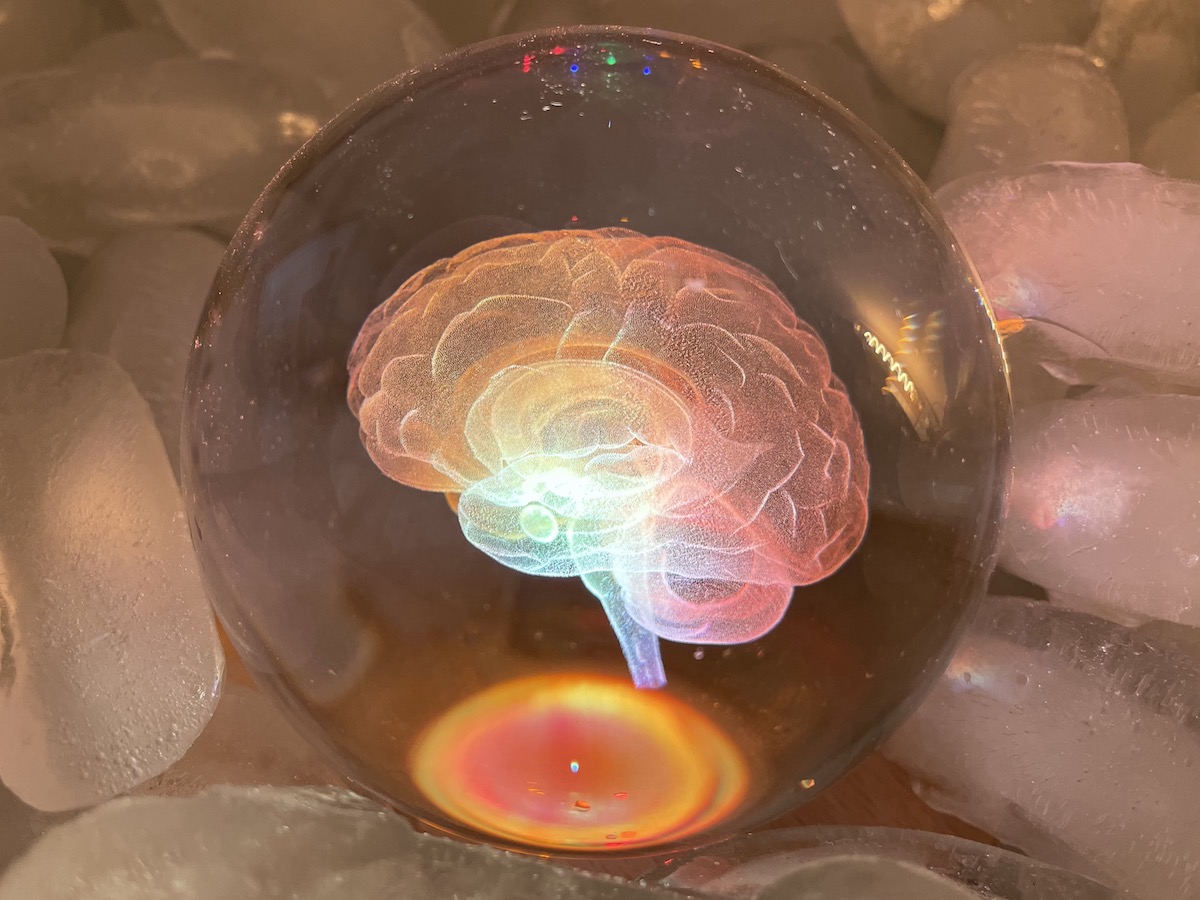 Chilled Brain