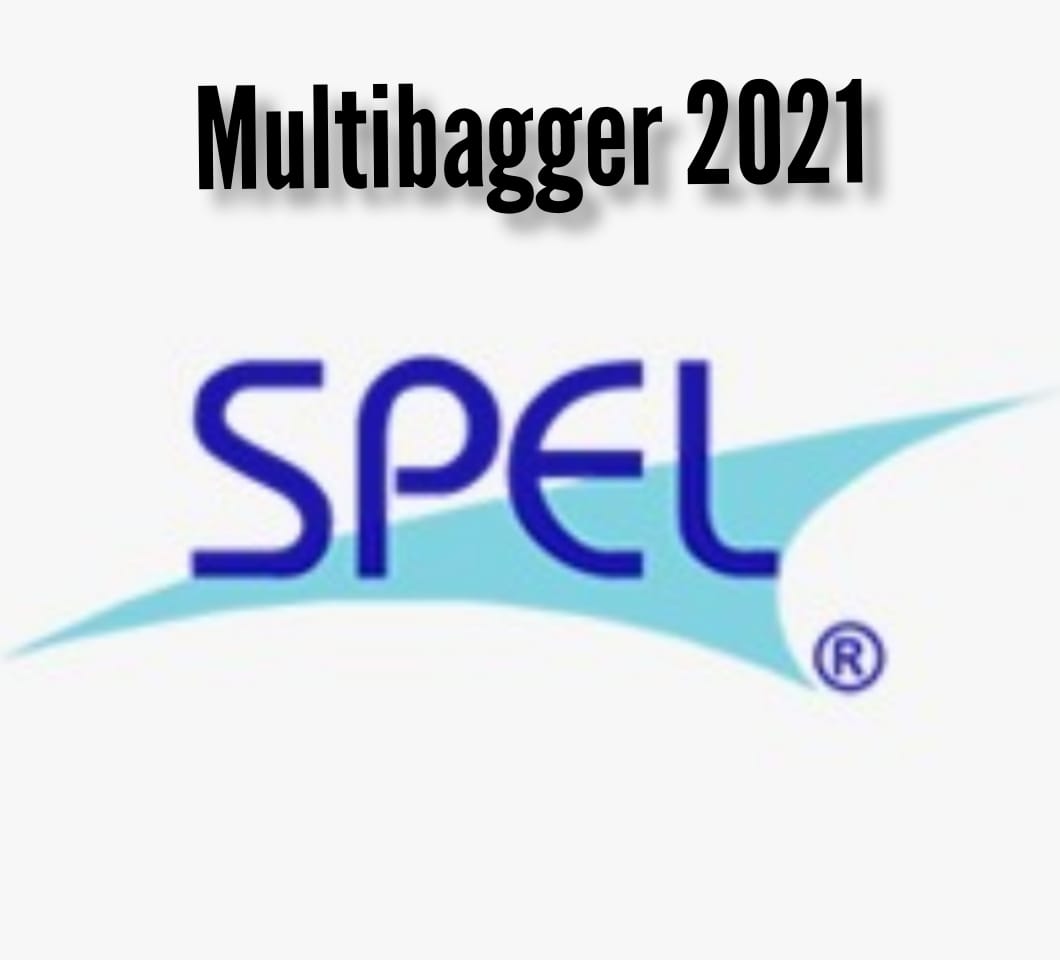 Spel Semiconductor Ltd Multibagger 2021 Analysis