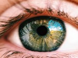 The Futureedge Cfo Blog