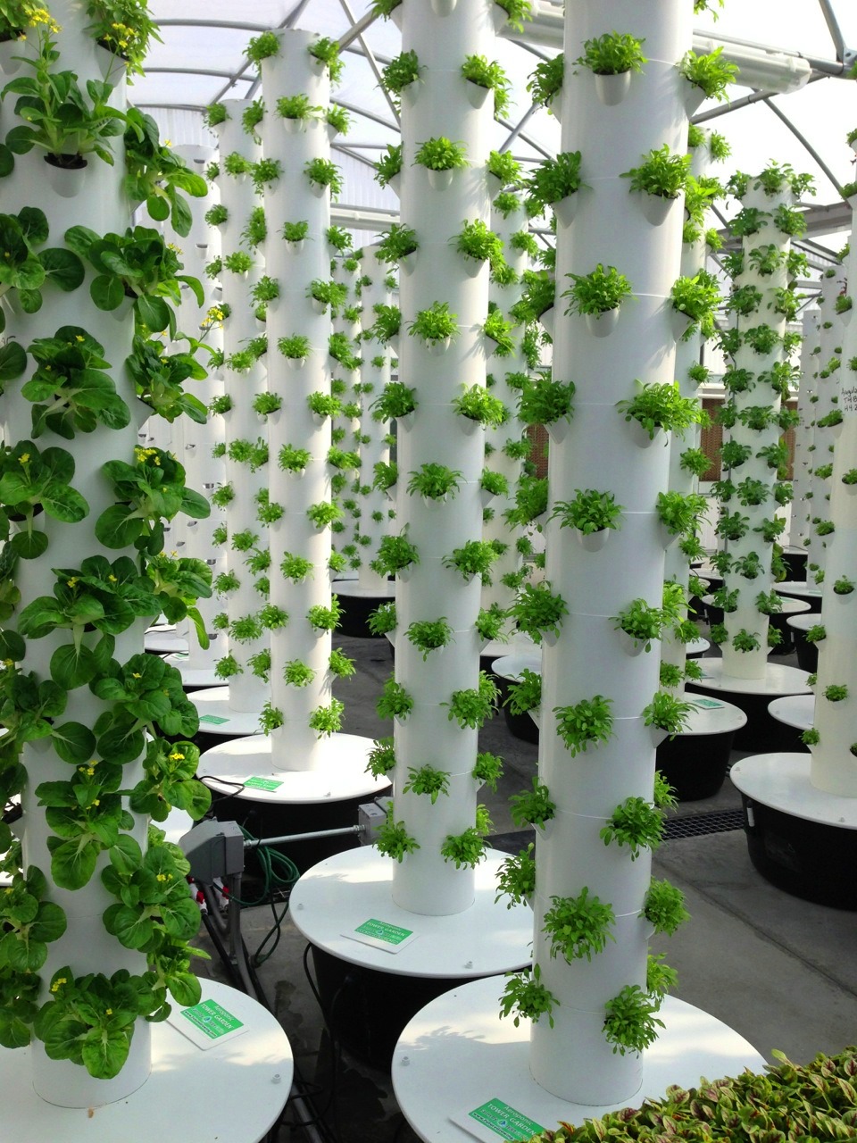 What are mornings like at your home or in your family? Local Tower Garden Farmer Produces Aeroponic Food for