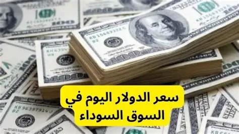 سعر الدولار في مصر اليوم
