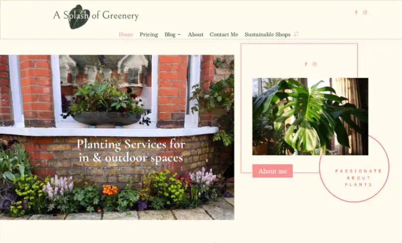 A Splash of Greenery