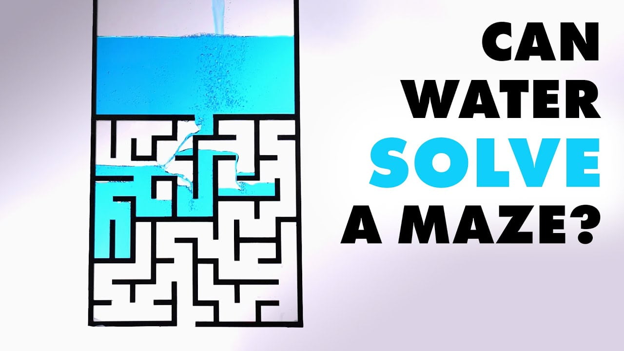 Can Water Solve a Maze? FYFD