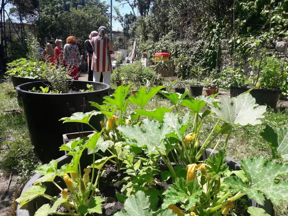 Les Jardins Partages Mairie De Cenon